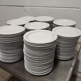 200 assiettes - Thomas - 28 cm